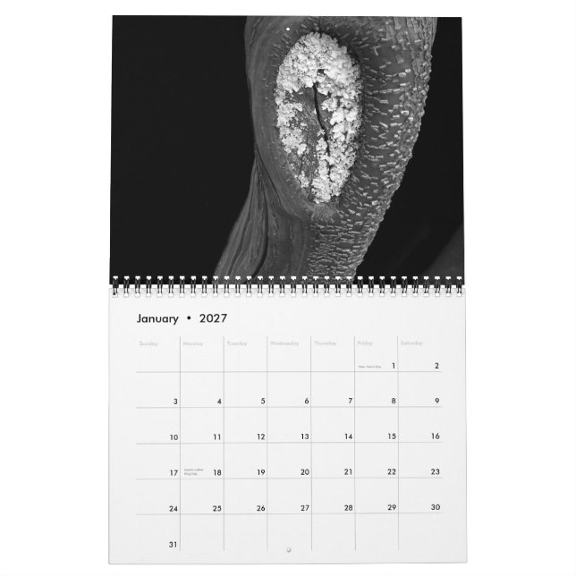 Calendrier Arbres 2010 (Jan 2027)