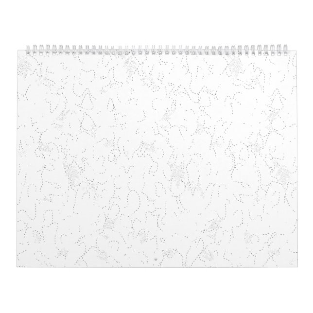 Calendrier Art de ligne, Catskill White, Imaginaire (Protection)