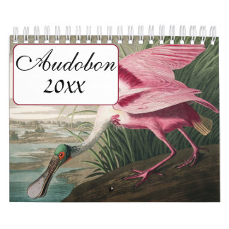 Calendrier Audobon Bird