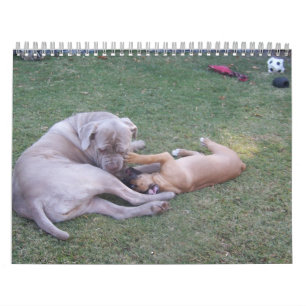 Calendrier Audrey et Willow 2013