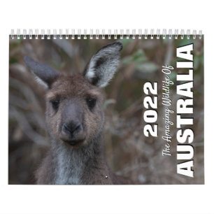 Calendrier Australie 2025 Photo d'un animal sauvage