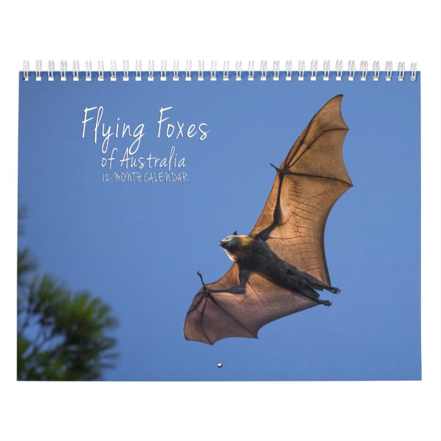Calendrier australien de batte de Fox de vol - 3 (Protection)