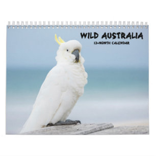 Calendrier australien de faune "de l'Australie