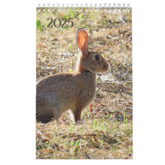 Calendrier avec images de la nature