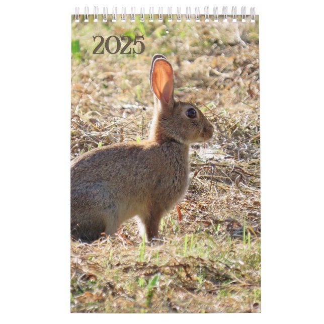 Calendrier avec images de la nature (Protection)