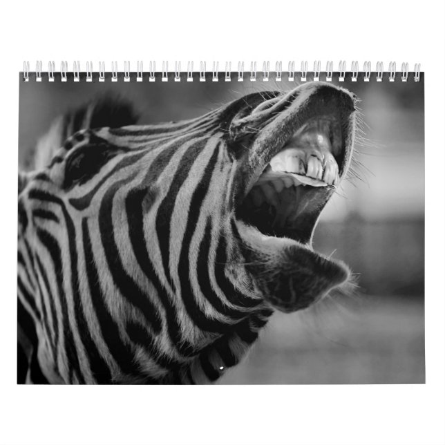 Calendrier B/W animal zèbre (Protection)