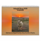 Babydoll Southdown Sheep 2026 NABSSAR Calendar