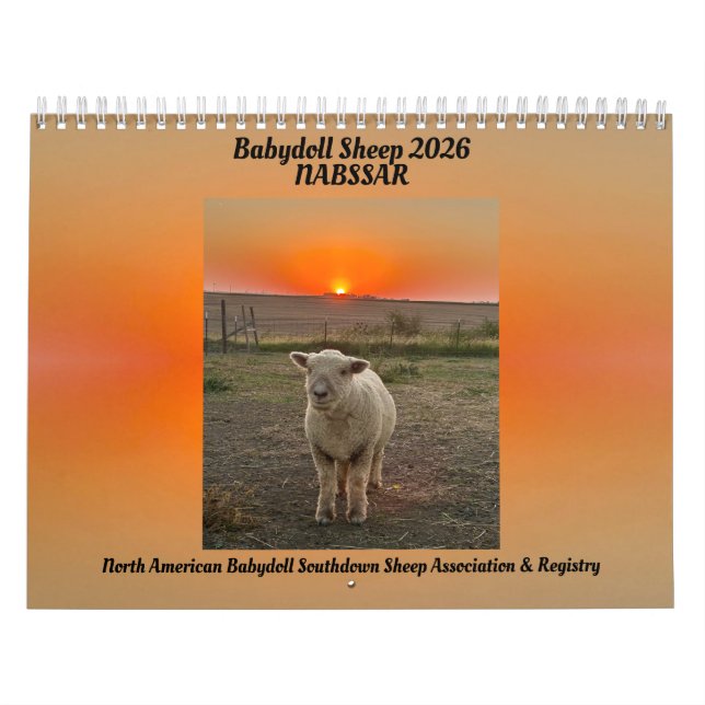 Calendrier Babydoll Southdown Sheep 2026 NABSSAR Calendar (Protection)