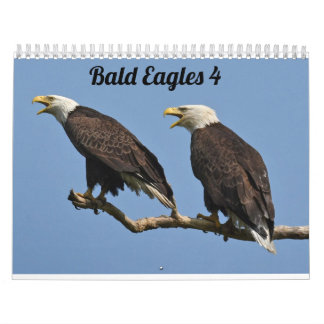 Calendrier Bald Eagles $