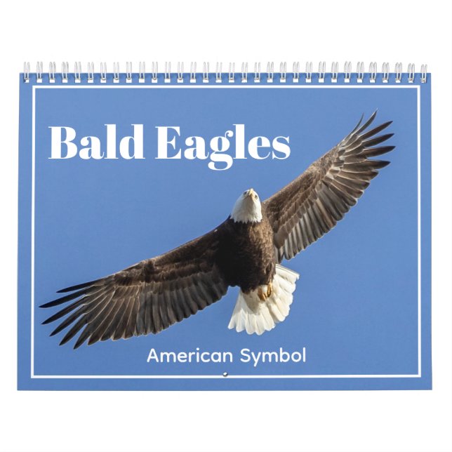 Calendrier Bald Eagles, American Symbol Calendar (Protection)