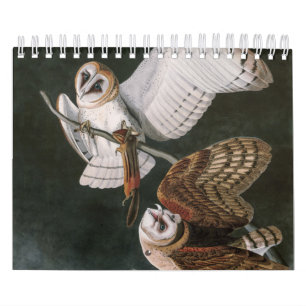 Calendrier Barn Owls, les oiseaux d'Amérique John James Audub