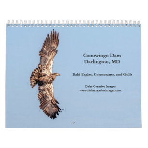 Calendrier Barrage Conowingo 2025