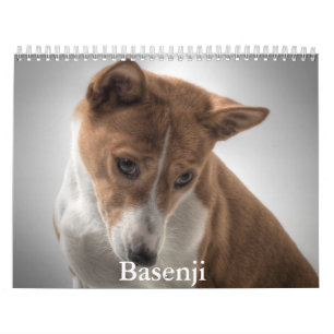 Calendrier Basenji