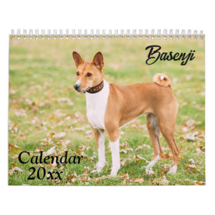 Calendrier Basenji 2026