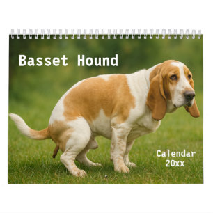 Calendrier Basset Hound Calendar 2026