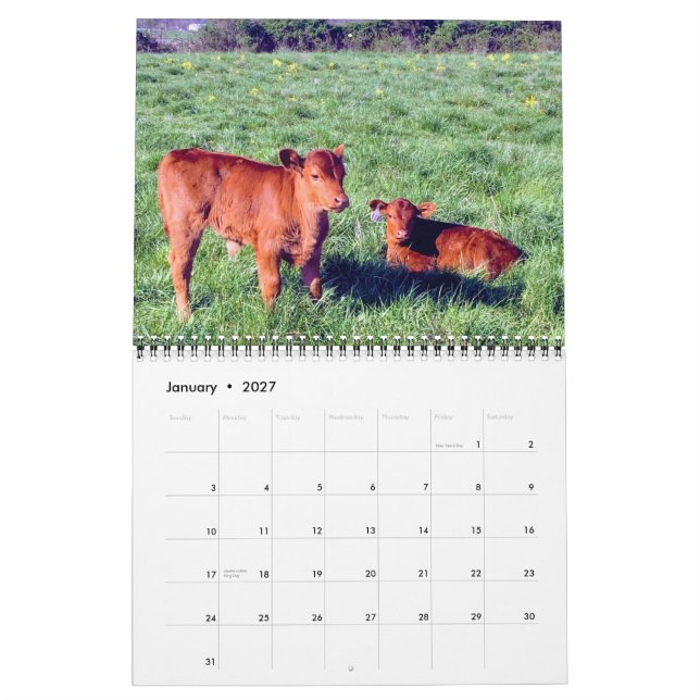 Calendrier Bataille (Jan 2027)