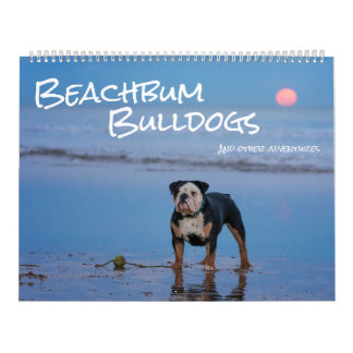 Calendrier Beachbum Bulldogs et autres aventures
