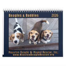 Calendrier Beagles et Copains 2026