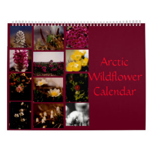 Calendrier Beau Mur de couleur Fleur sauvage arctique