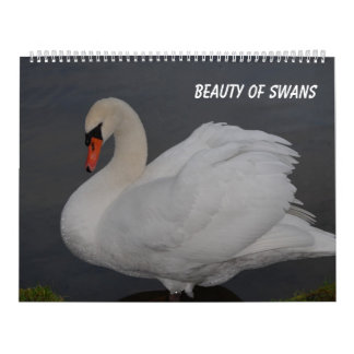Calendrier Beauté des cygnes
