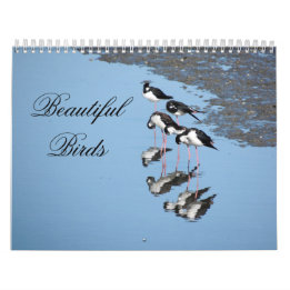 Calendrier Beautiful Birds Calendar