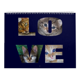 Calendrier Beautiful Cats For All Who Love Them 2023 Calendar