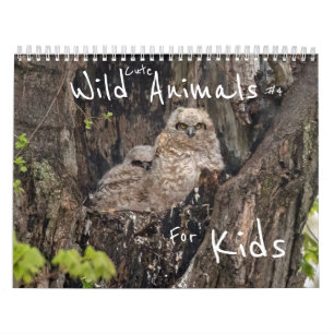 Calendrier Beaux Animaux Sauvages Pour Enfants #4