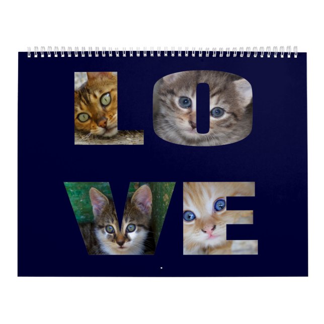 Calendrier Beaux Chats Pour Tous Ceux Qui Les Aiment Calendri (Protection)
