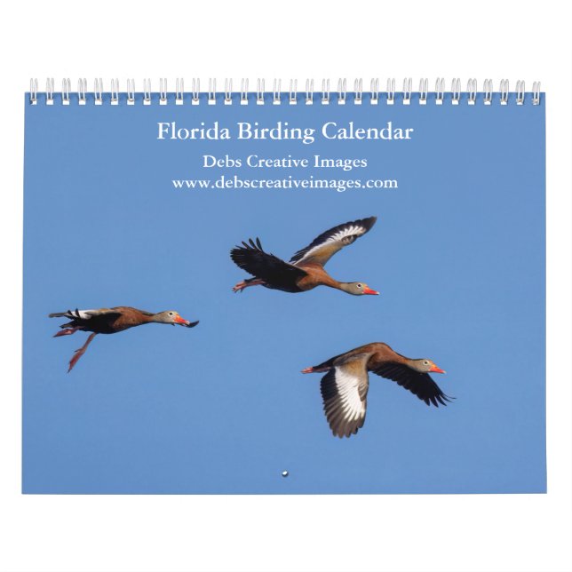 Calendrier Beaux Oiseaux de Floride 2026 (Protection)