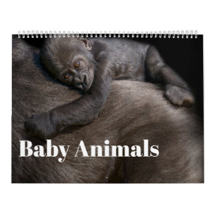 Calendrier Bébé Animaux