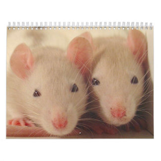 Calendrier bébés