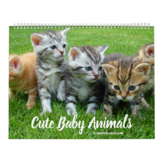 Calendrier Bébés mignons animaux