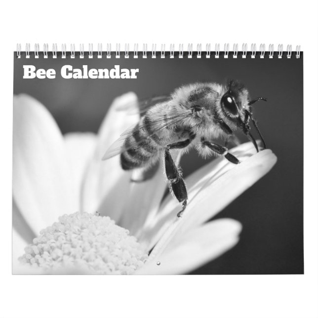 Calendrier Bee 2026 (Protection)