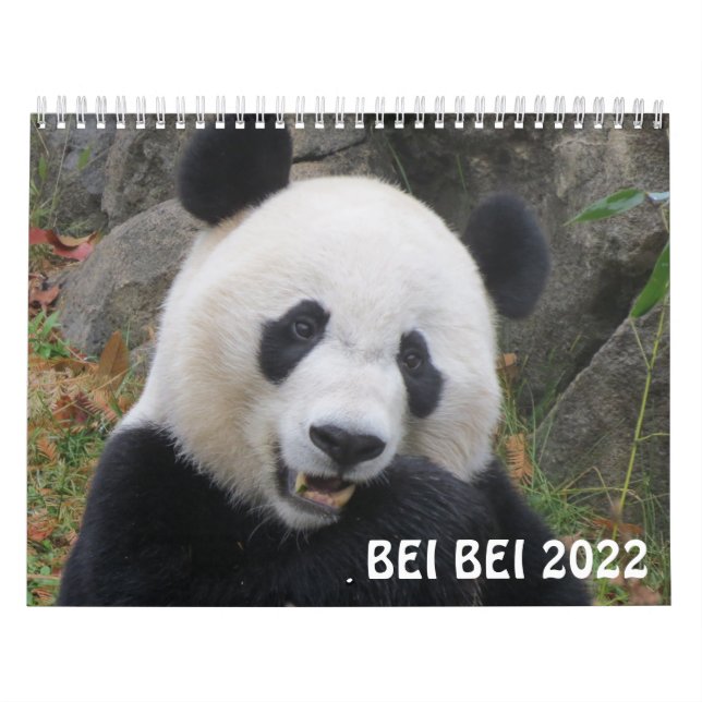 Calendrier Bei Bei 2022 (Protection)