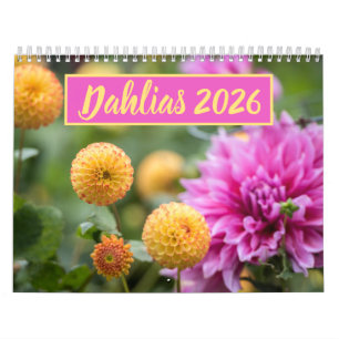 Calendrier Belle Dahlias Floral Photographie