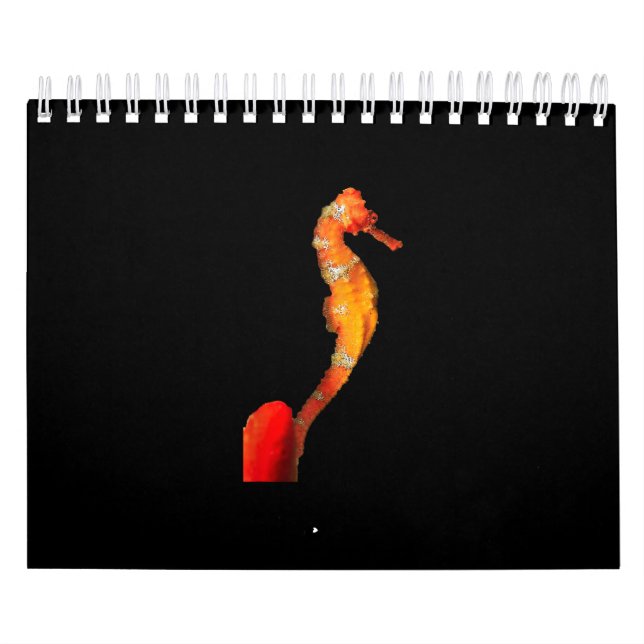 Calendrier Belle Figure De Baignade Devant (Protection)