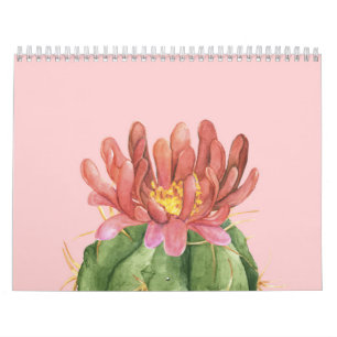 Calendrier Belle Fleur Succulente