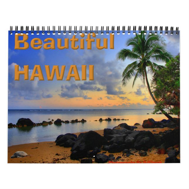 Calendrier Belle Hawaii (Protection)