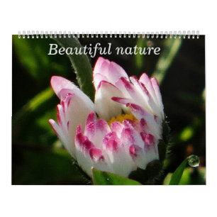 Calendrier Belle nature