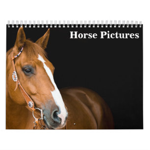 Calendrier Belles images de chevaux 2025