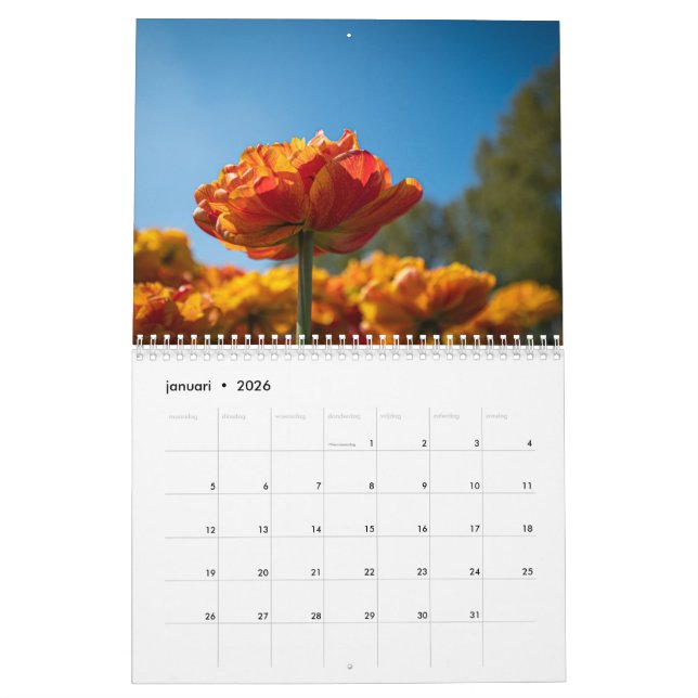 Calendrier Belles tulipes néerlandaises (Jan 2026)