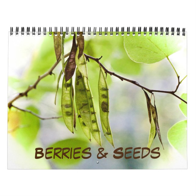 Calendrier ~ Berries et graines (Protection)