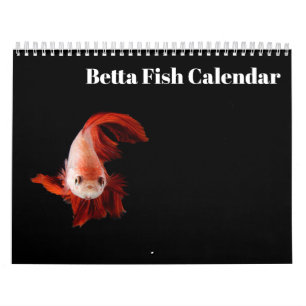 Calendrier Bettafish 2025