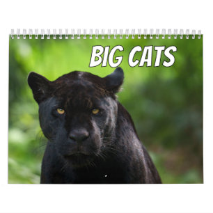 Calendrier Big Cat 2026