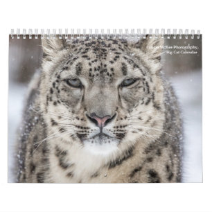 Calendrier Big Cats