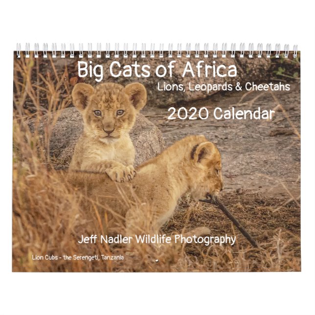 Calendrier Big Cats of Africa : Lions, léopards 2020 (Protection)