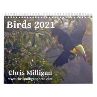 Calendrier Birds 2021 par Chris Milligan