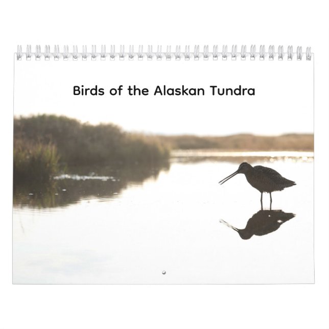 Calendrier Birds of the Alaskan Tundra Calendar (Protection)