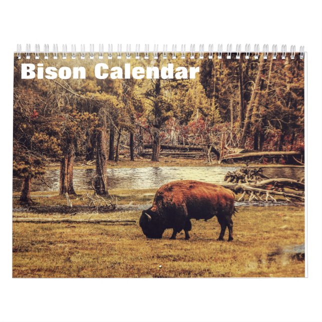 Calendrier Bison Buffalo 2025 (Protection)