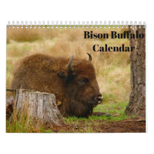 Calendrier Bison Buffalo 2026